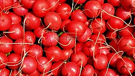 蔬菜,蘿卜,食品