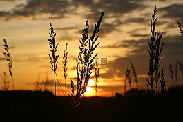 太陽,日落,傍晚的天空