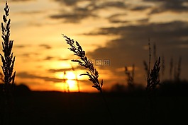 太陽,日落,傍晚的天空