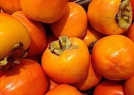 水果,柿子,秋天