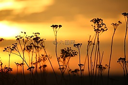 太陽,日落,傍晚的天空