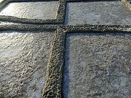 鹽化平原,鹽廠,鹽