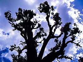 天空,藍(lán)色,云