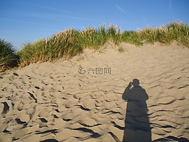 夏天,沙丘,陰影