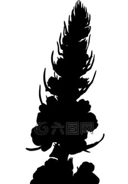 花的,花,開(kāi)花