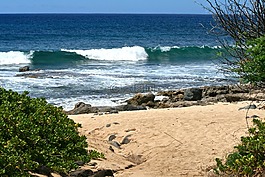 海洋,海,自然
