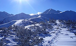 冬奧會(huì),波蘭,山