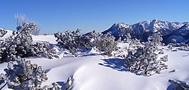 冬奧會,波蘭,山