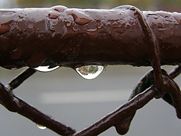 滴,雨,雨點