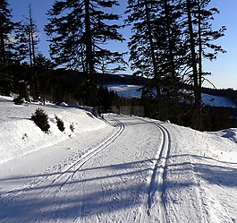 雪,冬季,腳印