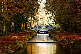 水,通道,橋