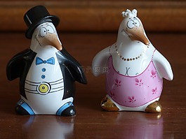 企鹅,新娘,新郎