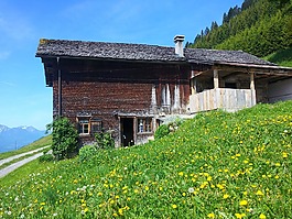 阿爾姆,棚屋,夏季