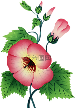 多彩,花的,花