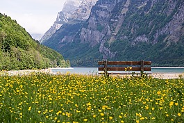 瑞士,高山,湖