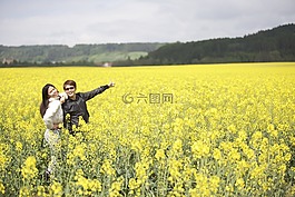 花,歐洲,旅行