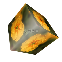 多維數(shù)據(jù)集,花,報(bào)春花
