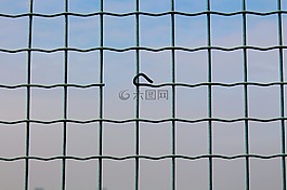 臨港,天空,柵欄