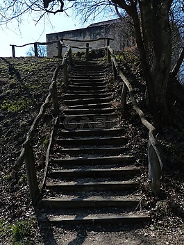 樓梯,木,森林
