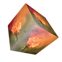 多維數(shù)據(jù)集,花,玫瑰