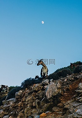高原,草,石