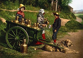 牛奶,购物车,photochrom