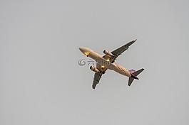 飛機,飛行,旅行