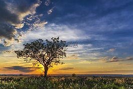 日落,地平線,云景觀