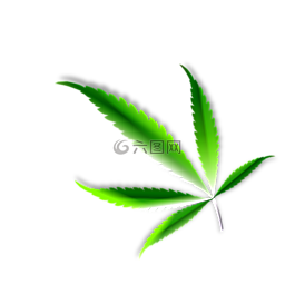 葉,大麻,雜草