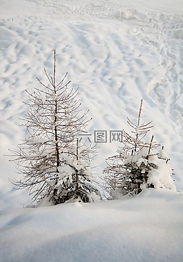 雪,性質(zhì),寒冬