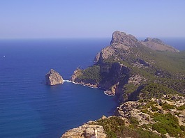 pollenca,西班牙,樹