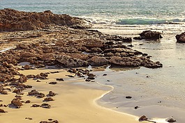 海濱,海灘,海