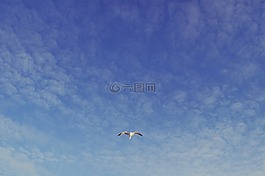 天空,藍(lán)色的天空,云