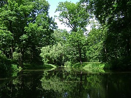 華沙,波蘭,公園