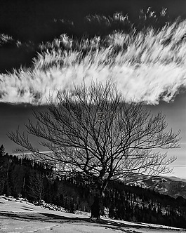 高原,山,雪