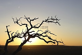 日落,天空,地平線