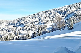 雪,冬天,冷