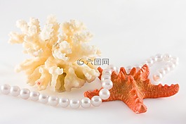 珍珠,海星,珊瑚