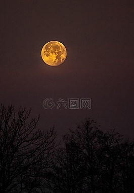 黑暗,夜,天空