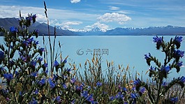 新西蘭,湖,景觀