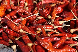 辣椒,紅色,尖銳