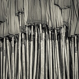埃及,街,黑色和白色