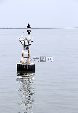海,浮標(biāo),鳥