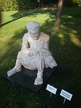 公園,男子,魚