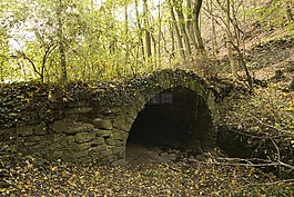 隧道,森林,線索