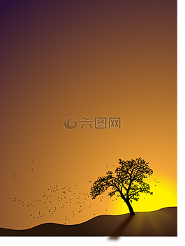 秋,秋天,景觀