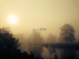 日出,霧,湖
