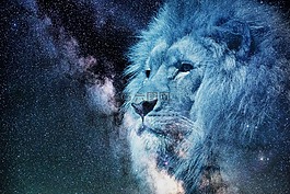 利奧,滿天星斗的天空,夜