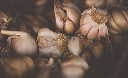 大蒜,蔬菜,香料
