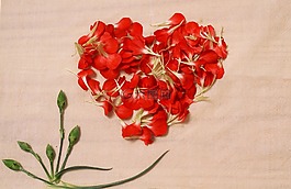 壁紙,心臟,花瓣